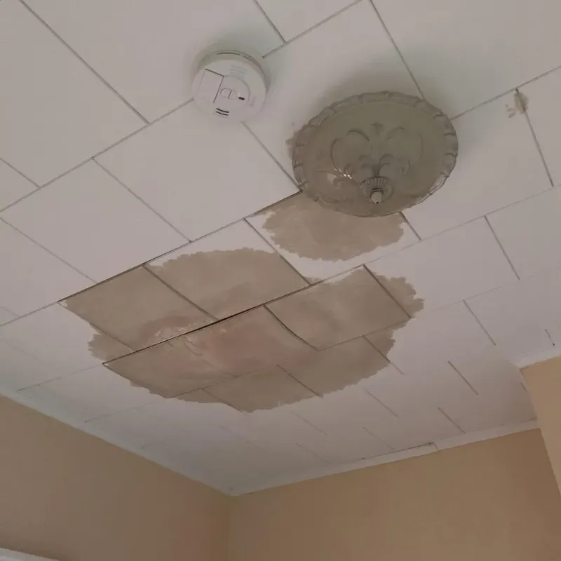 Ceiling Water Damage Repair in Crestline, OH