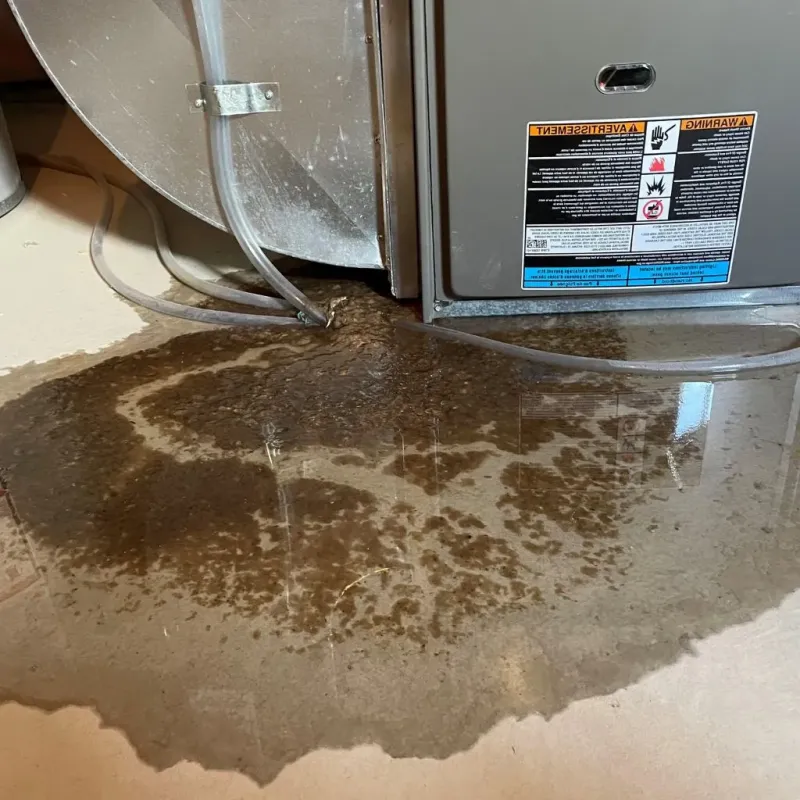 Pipe Burst and Leak Restoration in Crestline, OH