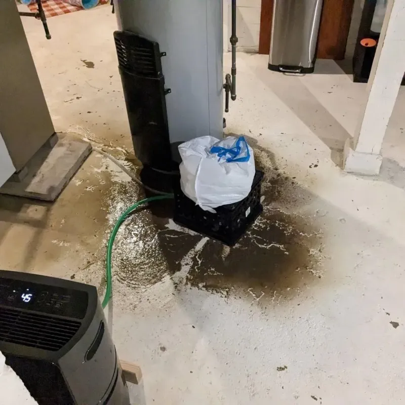 Sewage Backup Cleanup Service in Crestline, OH